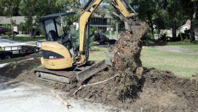 stump clearing