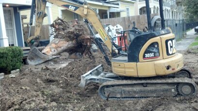 stump removal houston