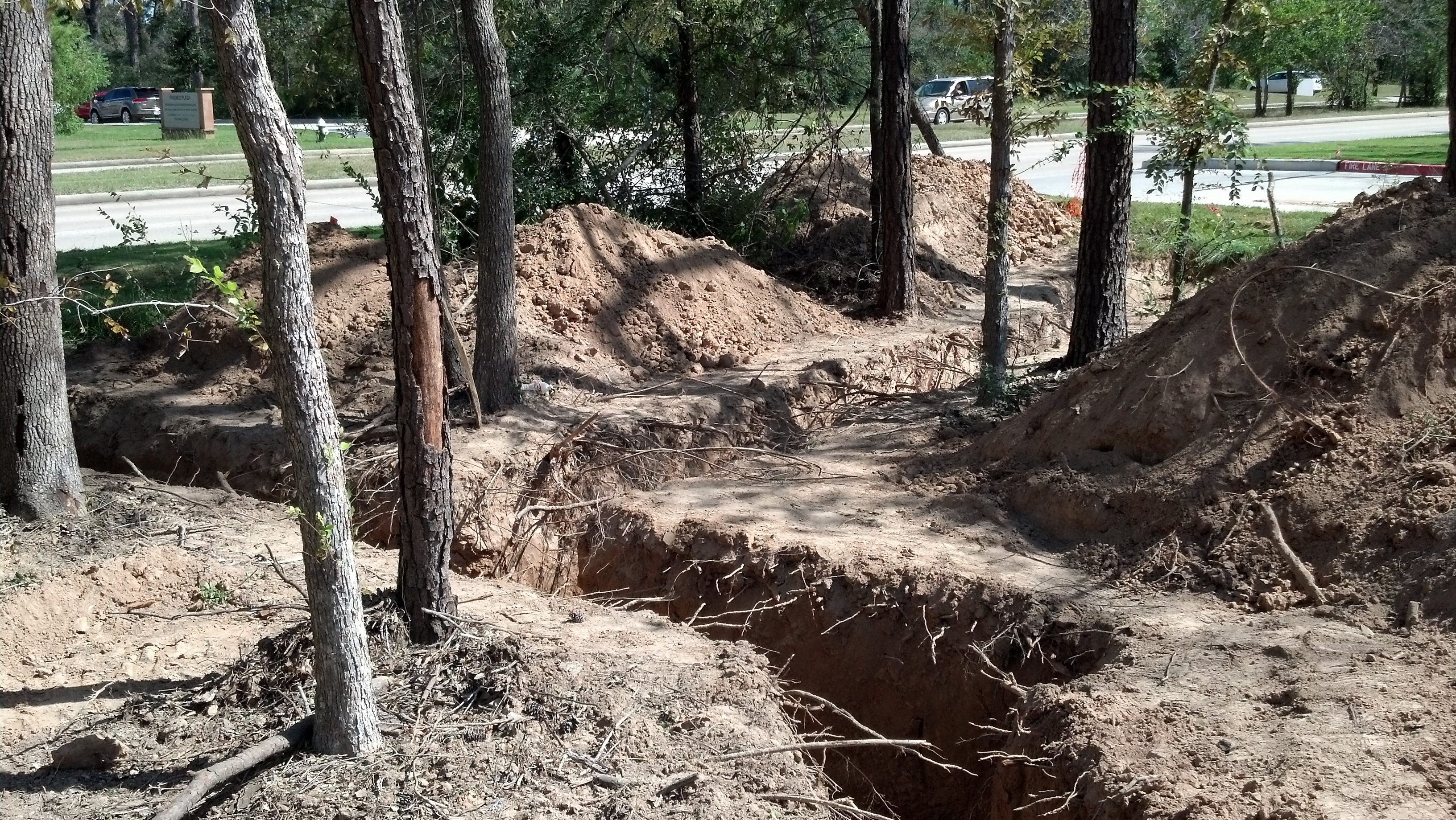 trenching through trees with mini excavator