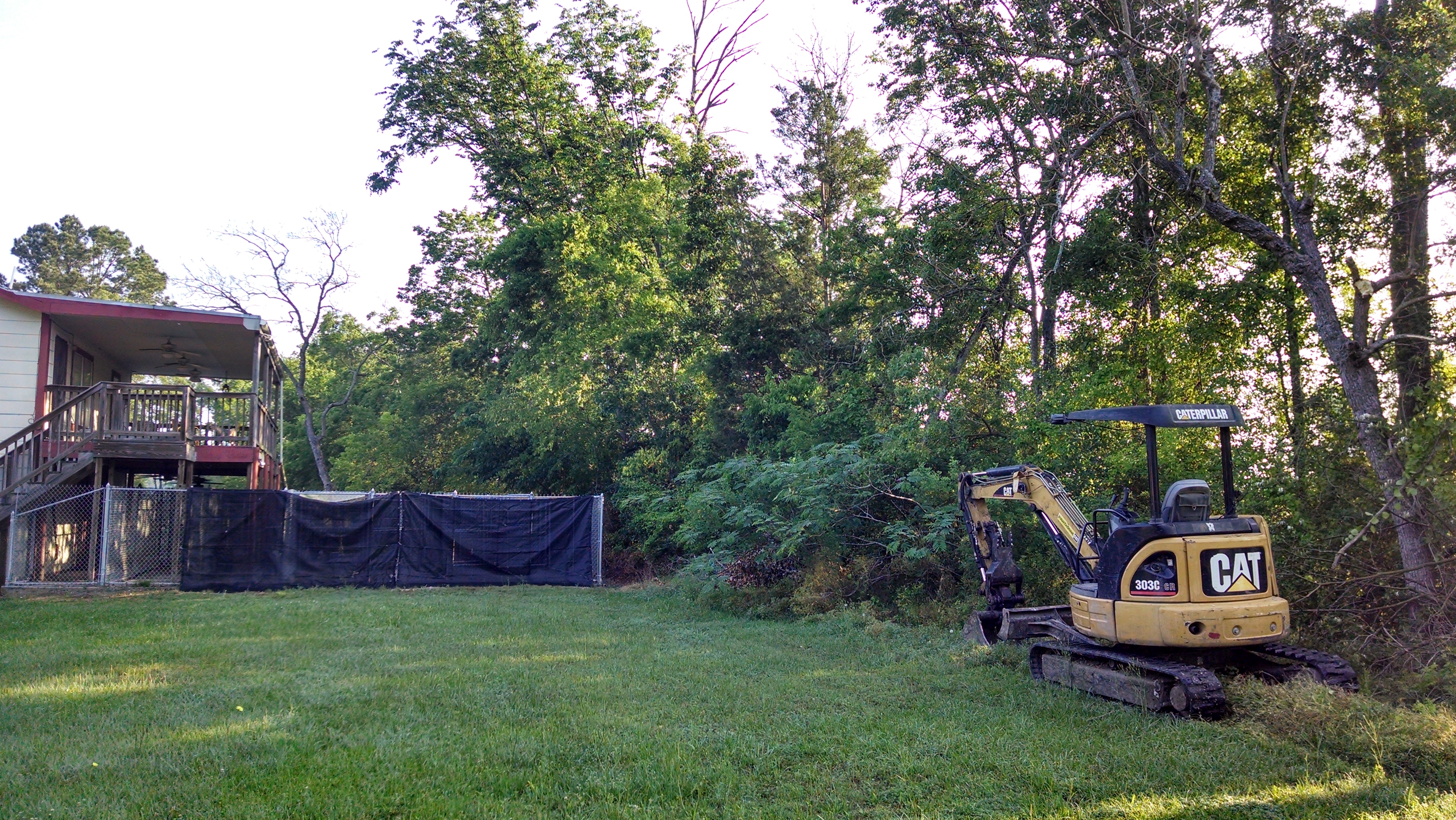 Before tree clearing and brush removal