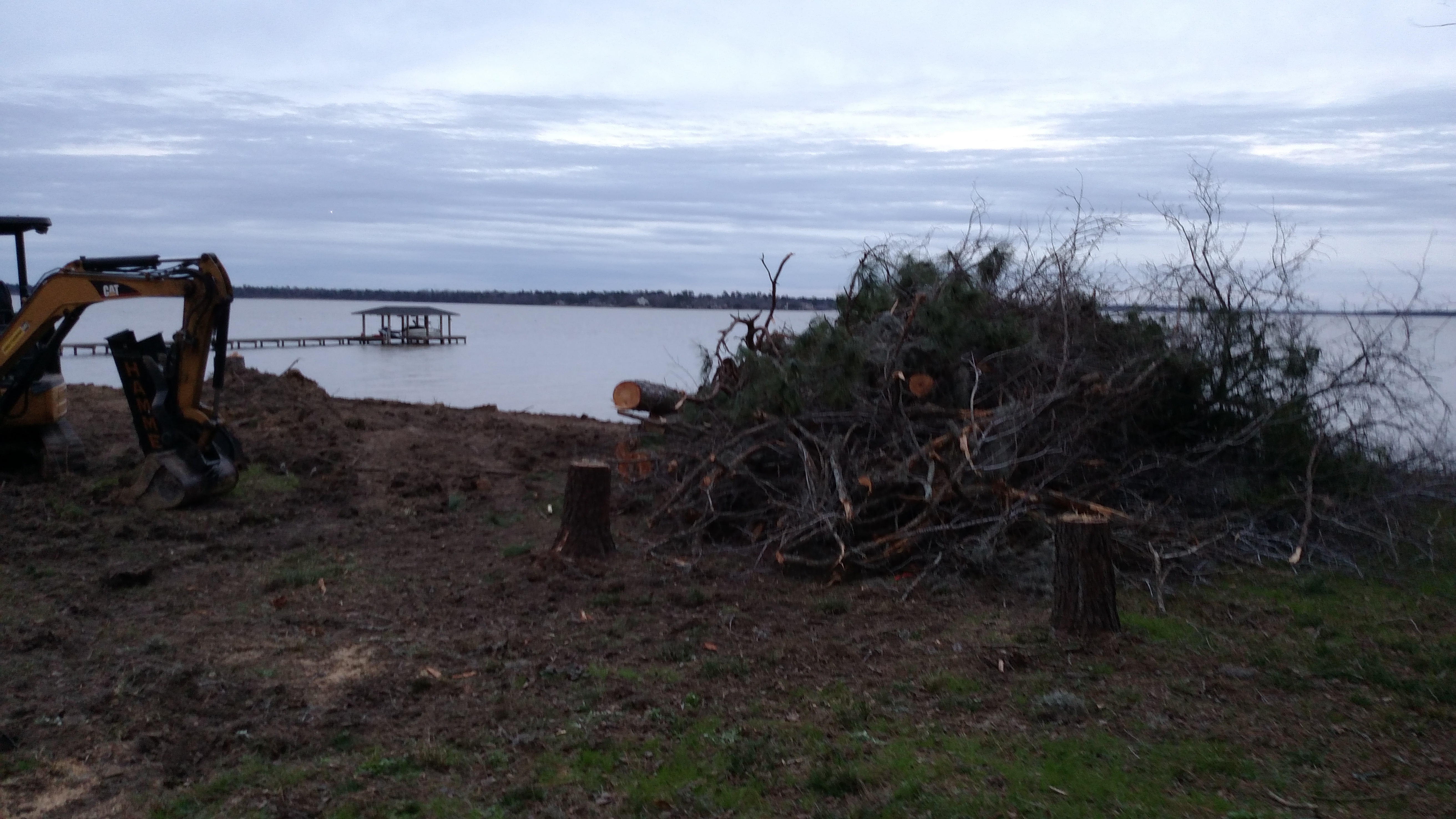 Tree clearing and stump removal