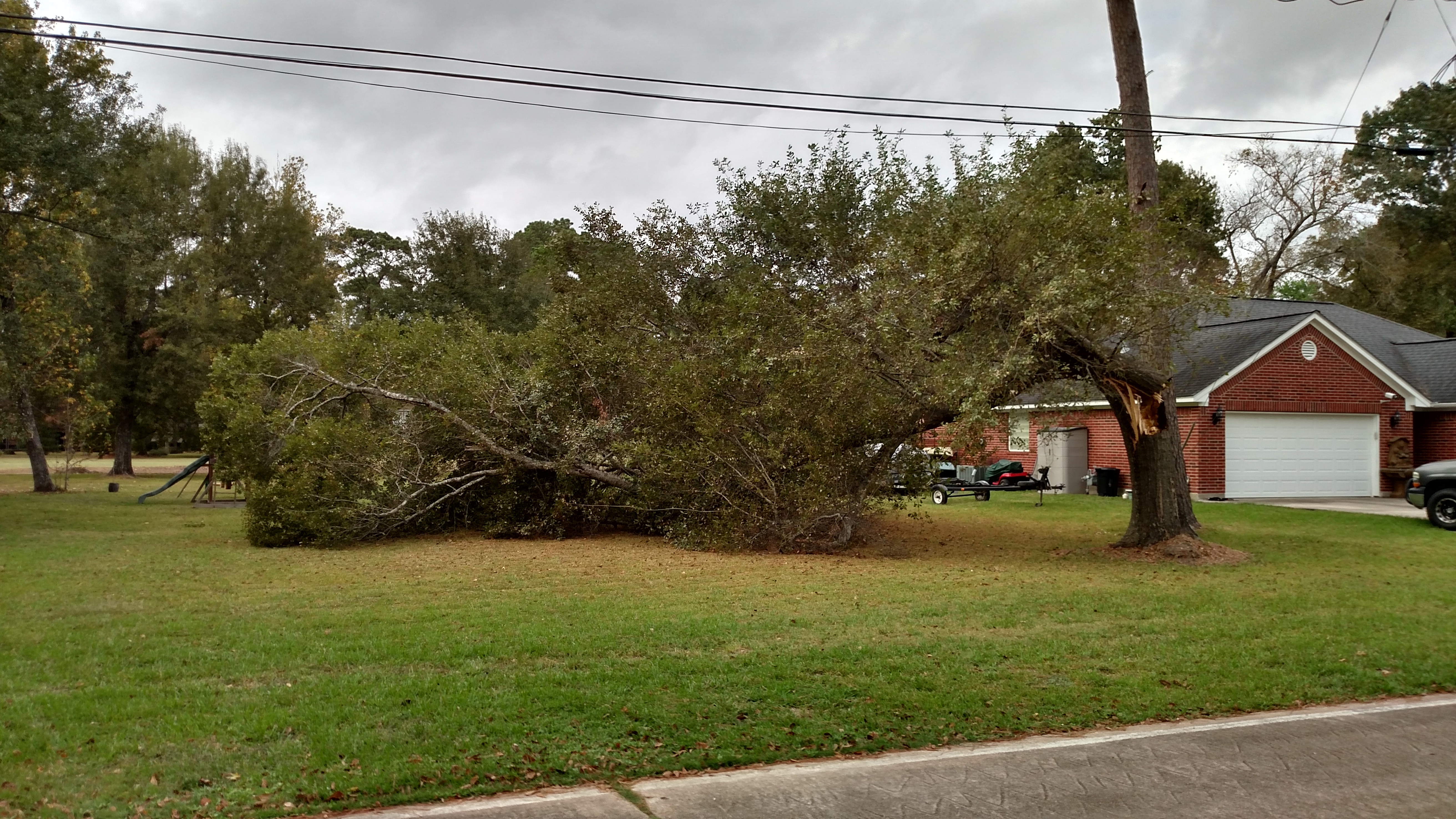 Tree Clearing oak tree damaged by lightning